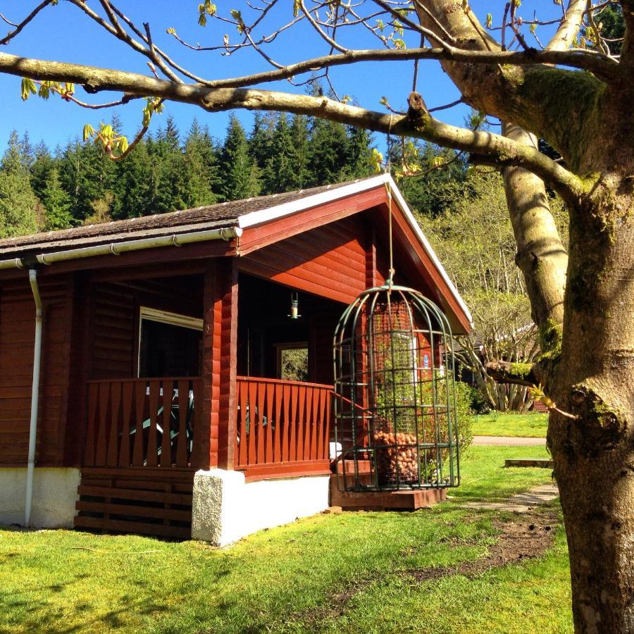 Stravaigin Lodge Dunoon Dış mekan fotoğraf