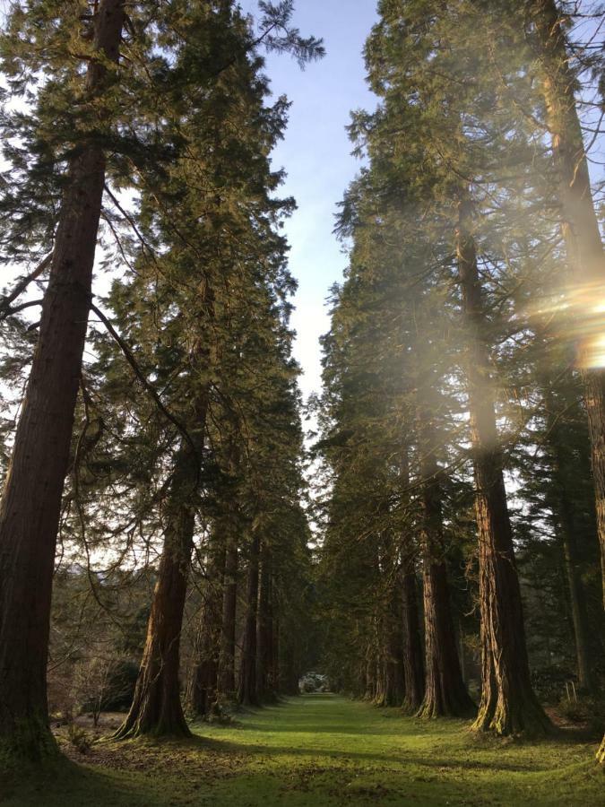 Stravaigin Lodge Dunoon Dış mekan fotoğraf