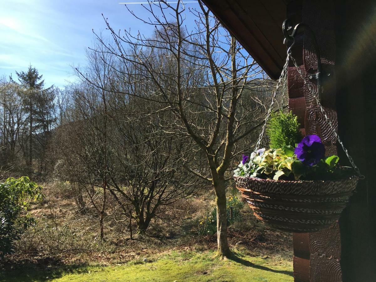 Stravaigin Lodge Dunoon Dış mekan fotoğraf